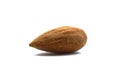 Signle roasted almond