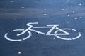 A signpost or bicycle road sign painted on the asphalt in a city park. Royalty Free Stock Photo