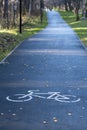 A signpost or bicycle road sign painted on the asphalt in a city park. Royalty Free Stock Photo