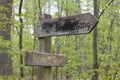 Signpost in the forest for observations Royalty Free Stock Photo