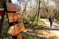 Signpost by the roadside in forest and man walking woods