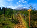 Signpost towards Gorbeia Mountain peak Royalty Free Stock Photo