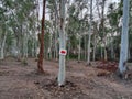 Signposts pointing the way in the eucalyptus garden