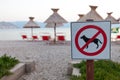 Signs announcing the ban on dogs on the beach.