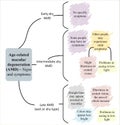 Signs and symptoms of Age-related macular degeneration AMD