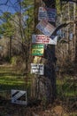 Signs on tree at Caddo Lake State Park, Eastern Texas near Louisiana. Water, swamp