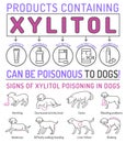 Signs of xylitol poisoning in dogs. Editable vector illustration