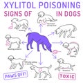 Signs of xylitol poisoning in dogs. Editable vector illustration