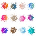 The signs of the zodiac. Set of colorful isons