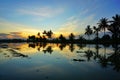 Sihlouette of coconut tree during sunrise Royalty Free Stock Photo