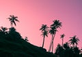 Sihouettes of palm trees on the stone hill at dawn