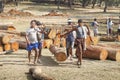 Two people are keeping wooden logs on their shoulders,going to load in carrier.