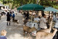 Sika deer feeding booth in Nara