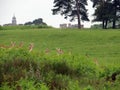 Sika deer, green lawns and medieval english Sevenoaks on the blurtable backdrop of the park