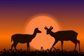 Sika deer with horns. Black silhouettes in sunset. African landscape