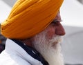 Sikh Gentleman Celebrating Vaisakhi