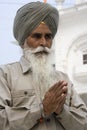 Sikh man at the Akal Takht - Amritsar - India Royalty Free Stock Photo