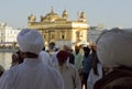 Sikh Pilgrims at the Harmandir Sahib Royalty Free Stock Photo