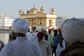 Sikhs at the Golden Temple in Amristar Royalty Free Stock Photo