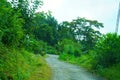Sikkim Village road at East Sikkim Royalty Free Stock Photo