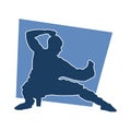 Silhouette of a man in oriental martial art pose.