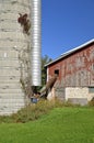 Silage auger leads into old barn