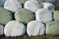 Silage bales Royalty Free Stock Photo