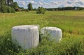 Silage bales in beautiful summer landscape Royalty Free Stock Photo