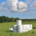 Silage bales in beautiful summer landscape Royalty Free Stock Photo