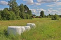 Silage bales in beautiful summer landscape Royalty Free Stock Photo