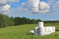 Silage bales in beautiful summer landscape Royalty Free Stock Photo