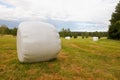 Silage bales Royalty Free Stock Photo