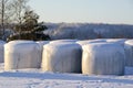 Silage Bales in Snow Royalty Free Stock Photo