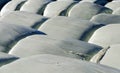 Silage bales wrapped up in foil #2 Royalty Free Stock Photo