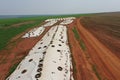 silage stored feed on tropical beef cattle system