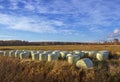 Silages on a field. Royalty Free Stock Photo