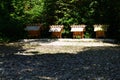 Silence in Japanese old shrine