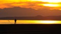 Silence sea walk in dusk Royalty Free Stock Photo