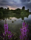 Silence before thunderstorm Royalty Free Stock Photo