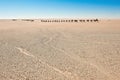 Silence, width, lonelyness - A salt caravan on their way crossind the endless flat width of the Sahara Royalty Free Stock Photo