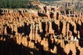Silent City, Bryce Canyon Royalty Free Stock Photo