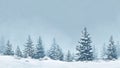 Snow Forest Minimal Harmony Royalty Free Stock Photo