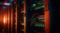 Silent Giants of the Digital Age: Server Racks in the Shadows, Powering Neural Networks in High-Capacity Data Center