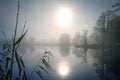 Silent landscape at the frozen lake with a pale sun and reflection, gray bare trees and some reeds on a cloudy, misty winter day