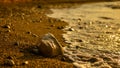 Golden bay in Cyprus. The sand and the rocks are like the pure gold.