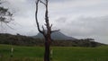 the silent mountain near the ambewella.