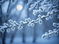 Silent Night Symphony: Cinematic Whispers of Winter