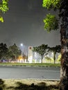 Silent nighttime view of the street with twinkling lights