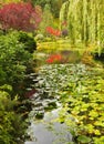 Silent pond in park on island Vancouver Royalty Free Stock Photo