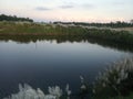 Silent pond.Rare picture of pond and sky together Royalty Free Stock Photo